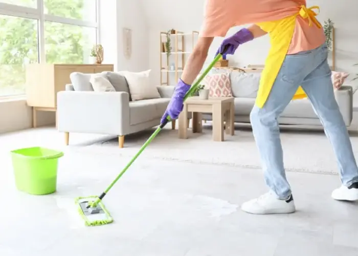 Clean Confo Entreprise De Nettoyage Vichy Nettoyage Maison